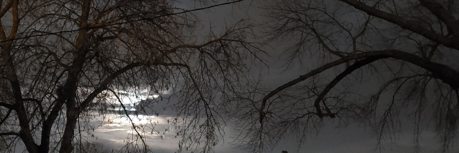 TraciGrrl's profile banner image