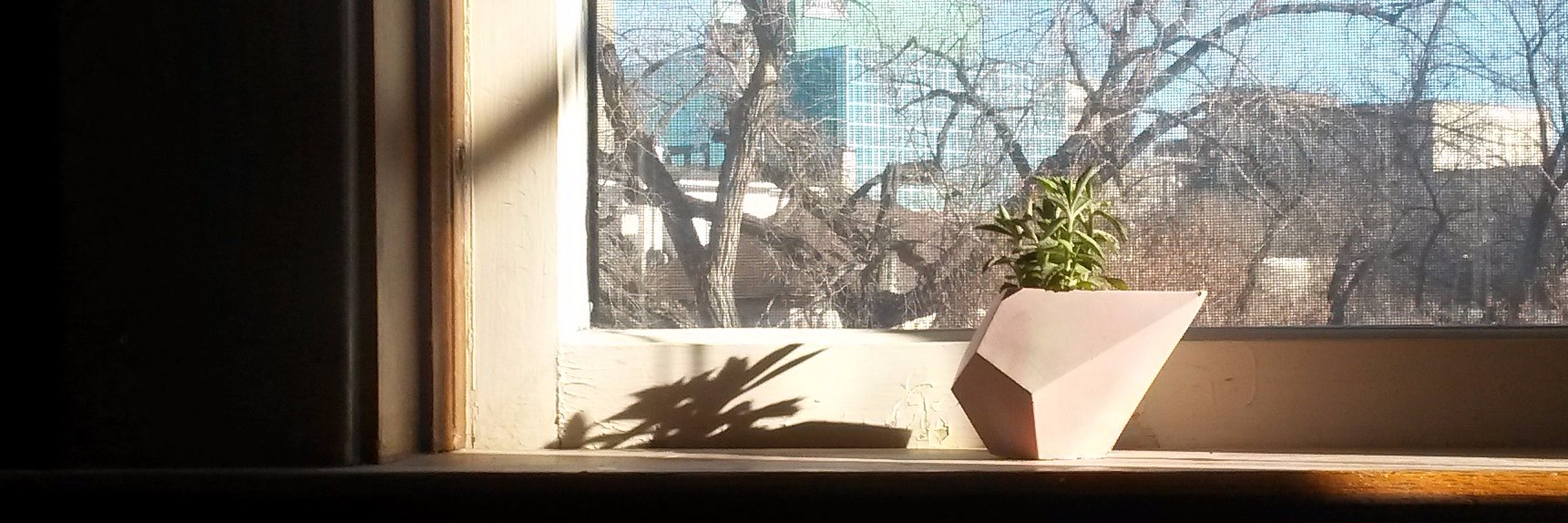 PenAndDragon's profile banner image
