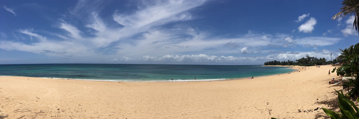 Heather Castle banner