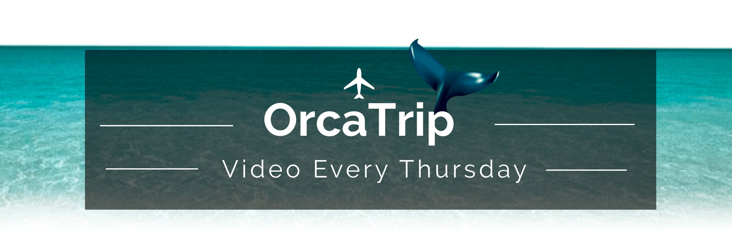 Orca Trip (@OrcaTrip) / Posts / X