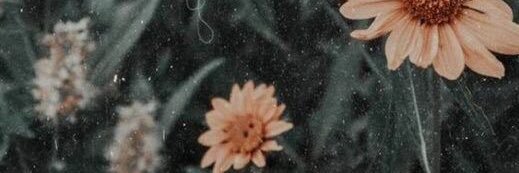 EmilyTeague01's profile banner image