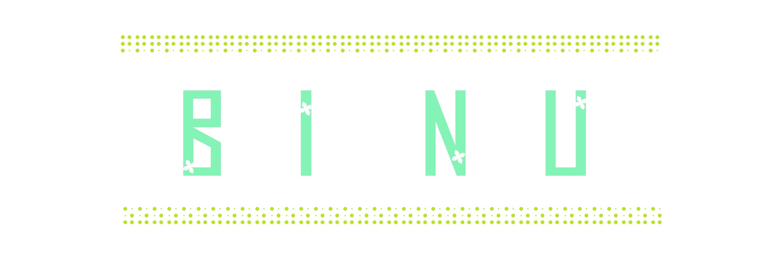 biNu_ny's profile banner image