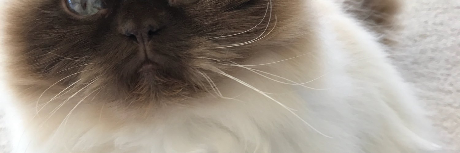 64highst's profile banner image