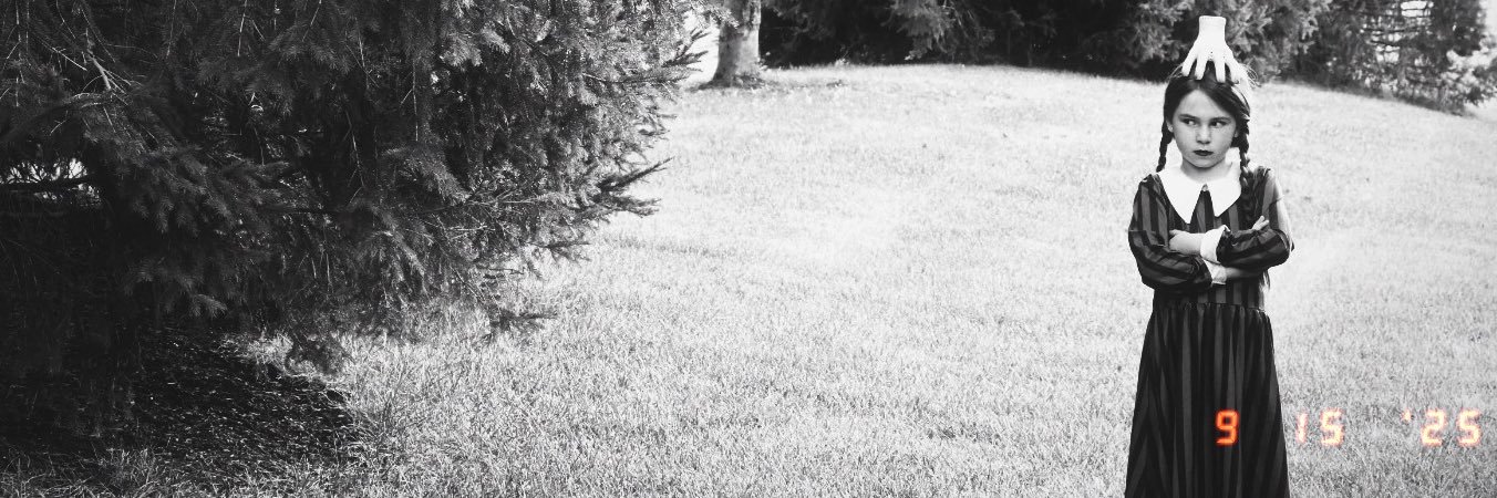 taylorhaubert's profile banner image