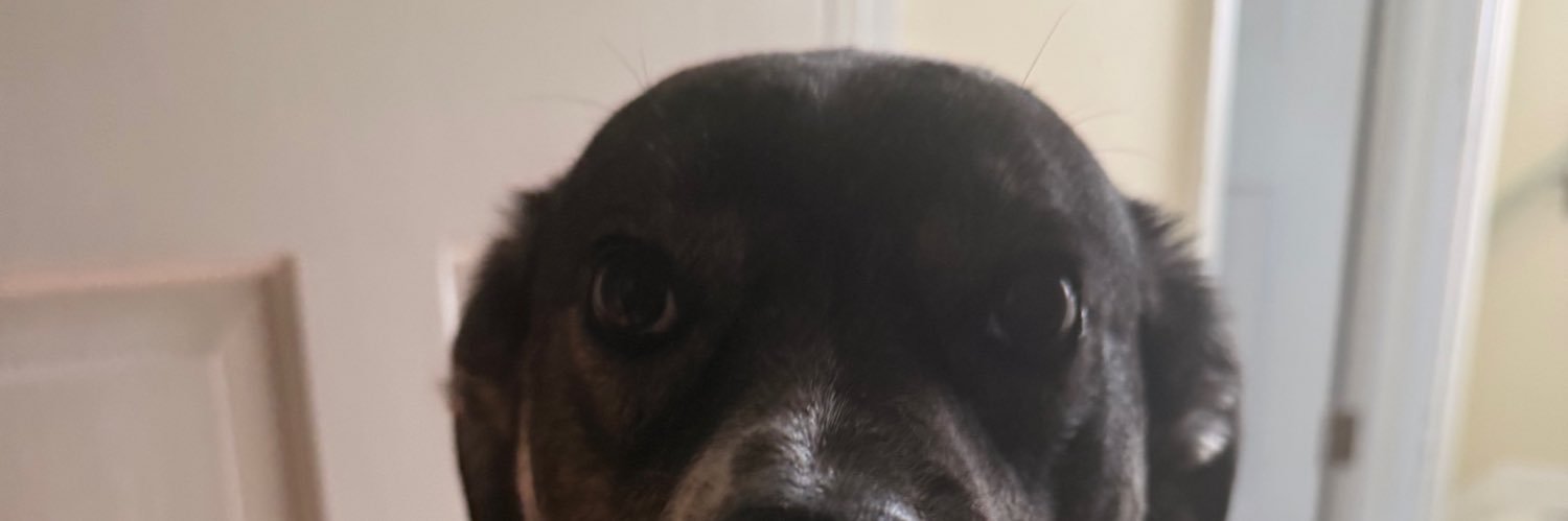 blaket21's profile banner image