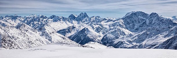 True North Avs banner