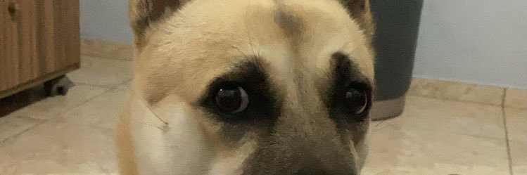 MeillyBrito's profile banner image