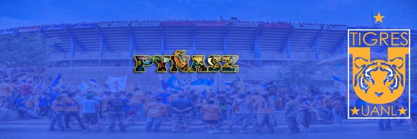 pynnasz's profile banner image