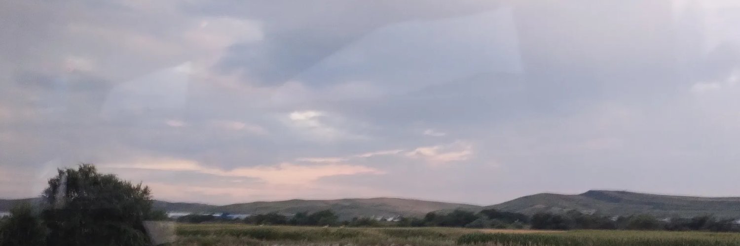 Ariocco's profile banner image