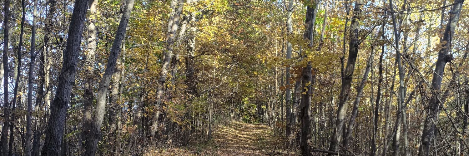 My name is Buzz banner