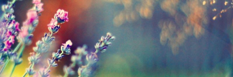Hacer_2016's profile banner image