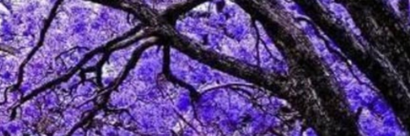 K5thetruth's profile banner image