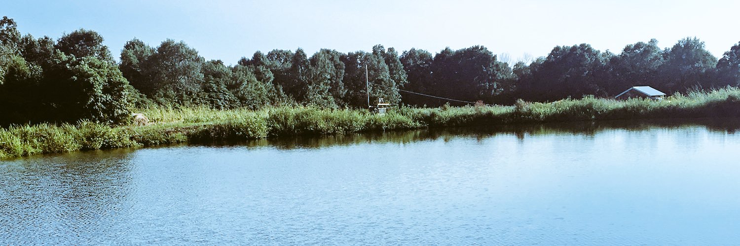 Nicole 🌻 banner