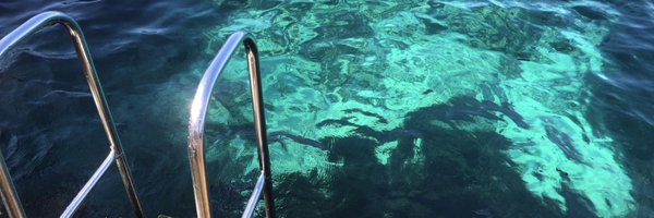 stateless79 Profile Banner