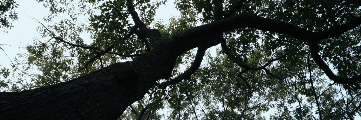 asherjamess's profile banner image