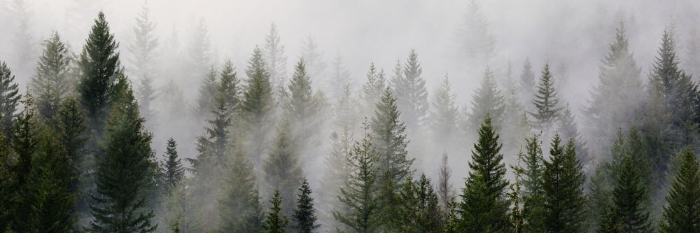 glenehill's profile banner image