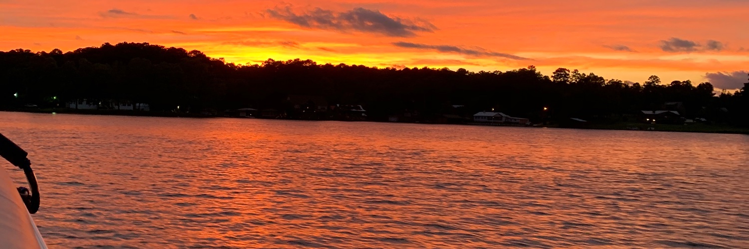 Kim Castleberry banner