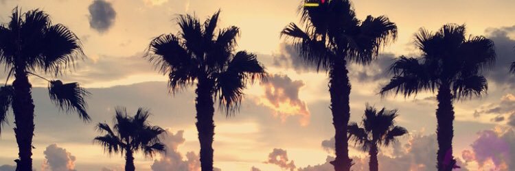 TGoodnick's profile banner image