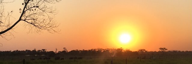 clicia_sa1's profile banner image