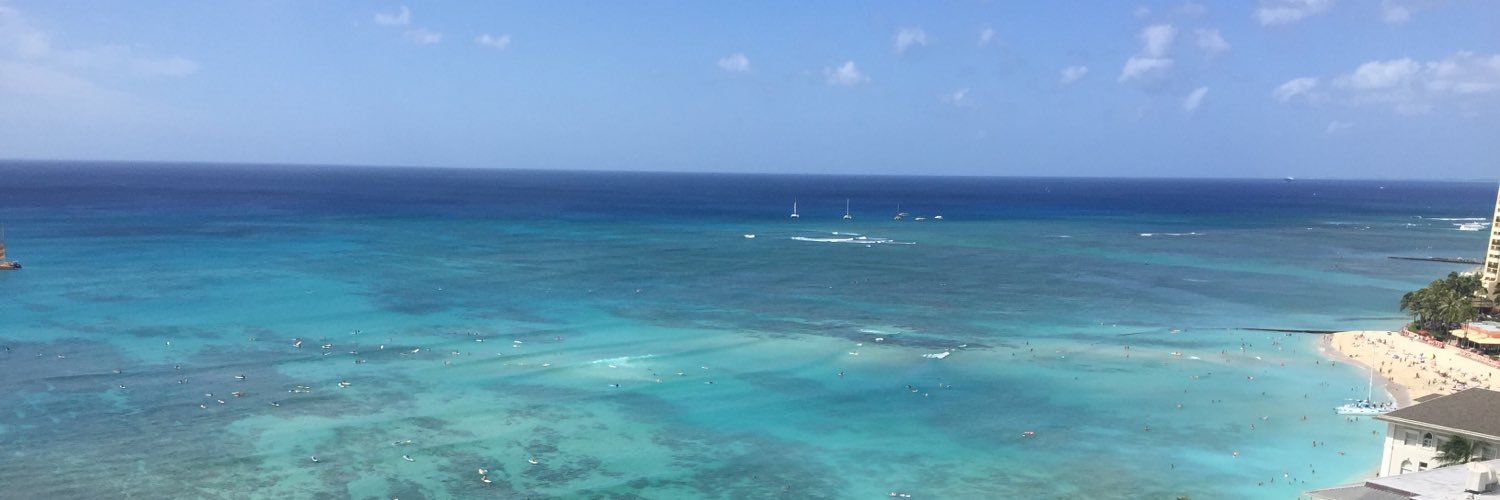 April Longhitano 🧚🏻‍♀️ banner