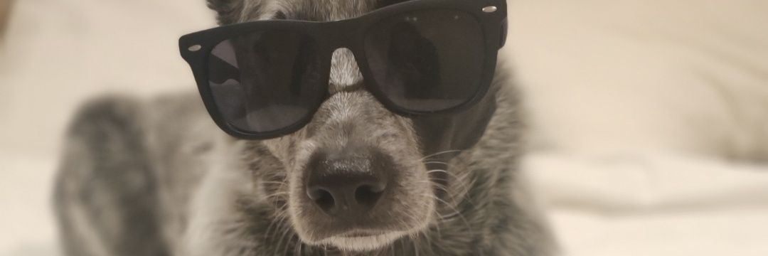 humblesommelier's profile banner image