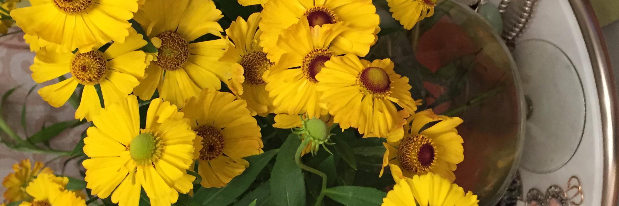 blogfoundation's profile banner image