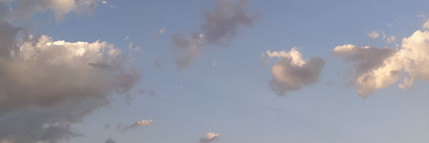 98_vnss's profile banner image