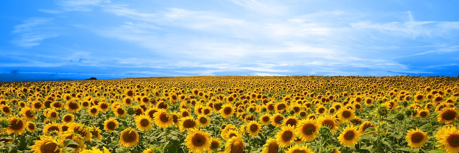 EverythingWins's profile banner image