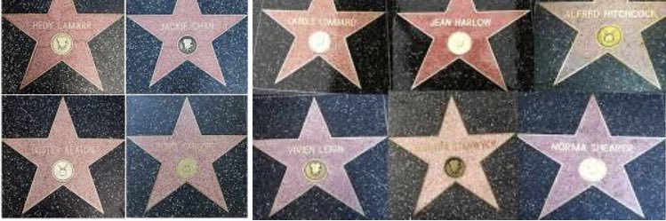 Sallyanne Waterman banner