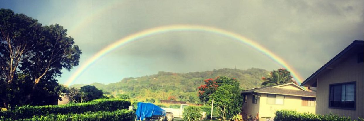 craftykree's profile banner image