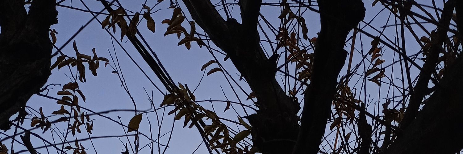 Luleebelen's profile banner image