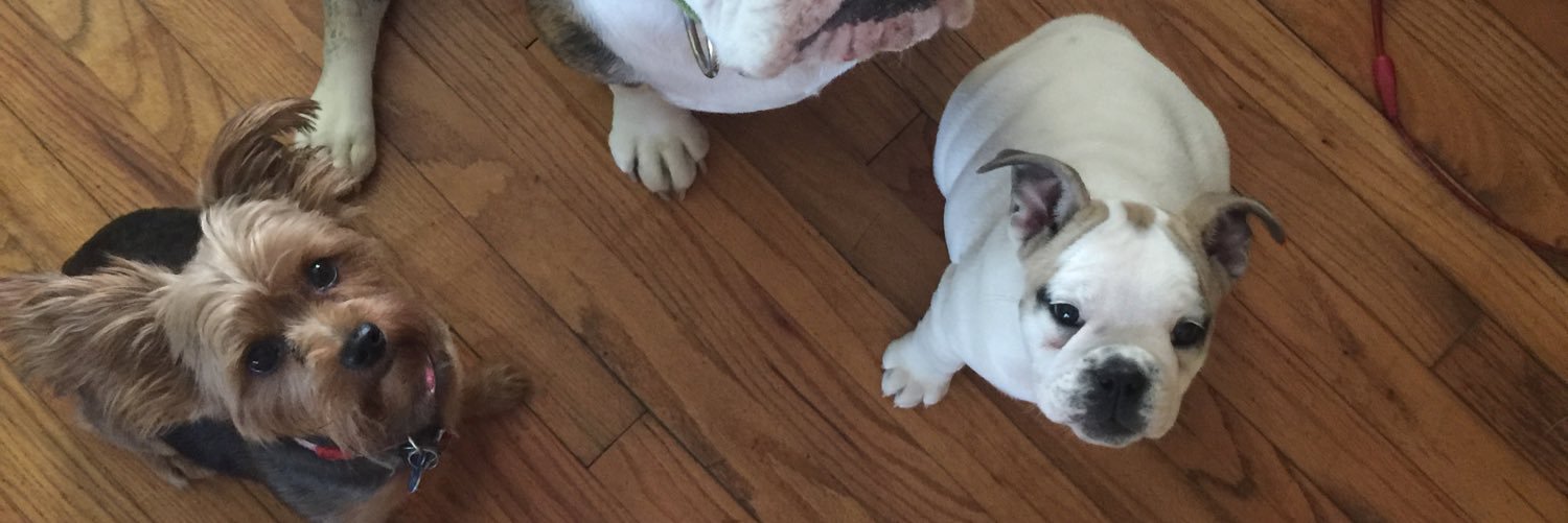 BrennanMagers's profile banner image