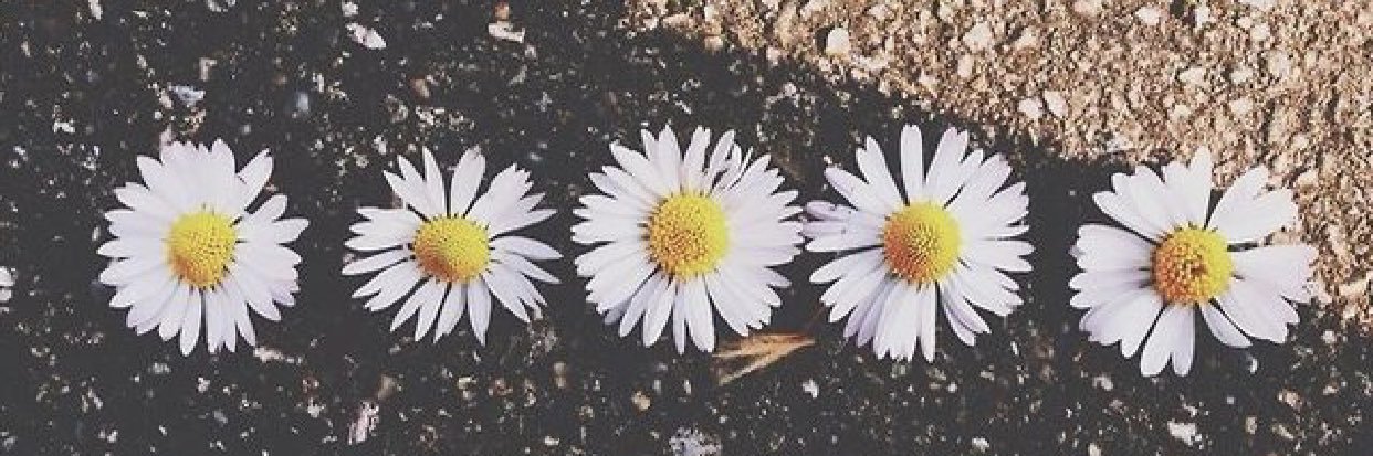 Anner_moss's profile banner image