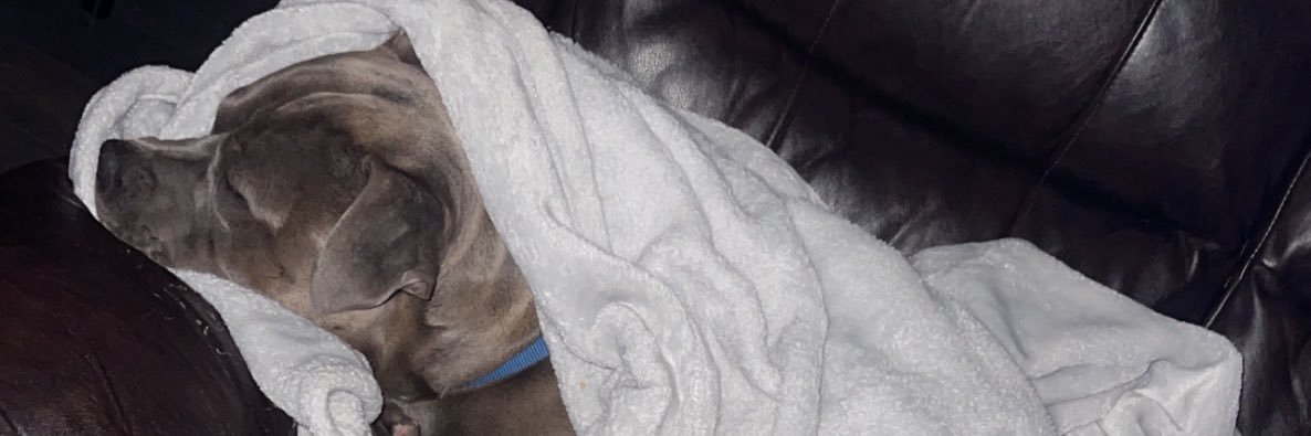 eelizaabeeth_'s profile banner image