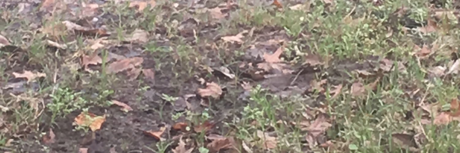 TrevorChatelain's profile banner image