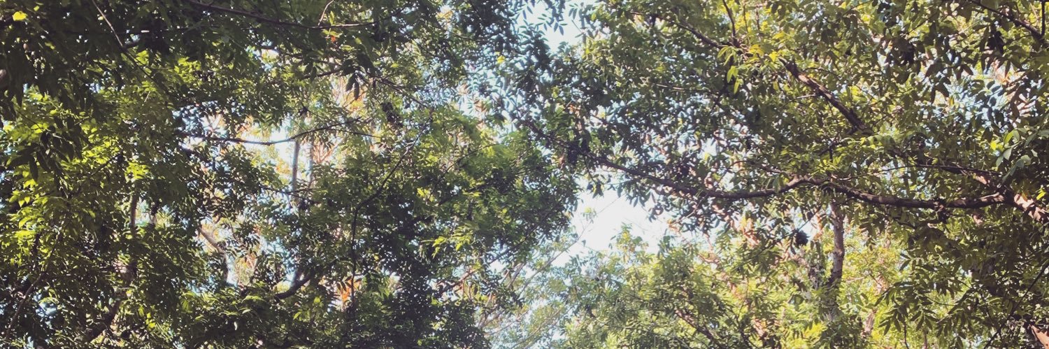 thinthinsothin's profile banner image