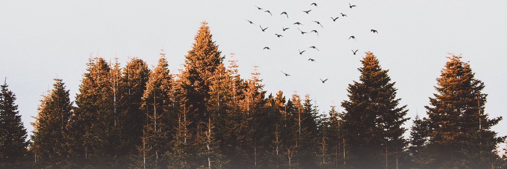 bryce_lidtka's profile banner image
