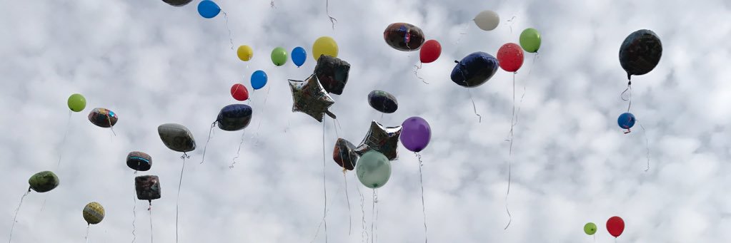 Celina Clements banner