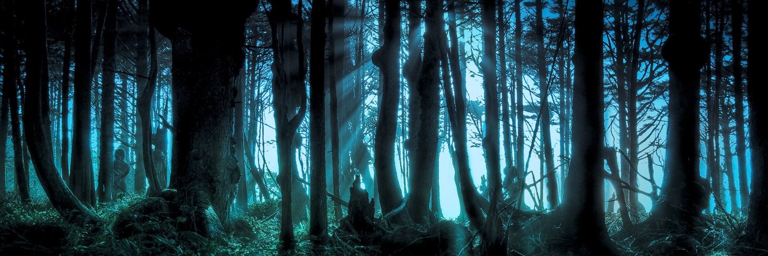 Forest_kitten's profile banner image