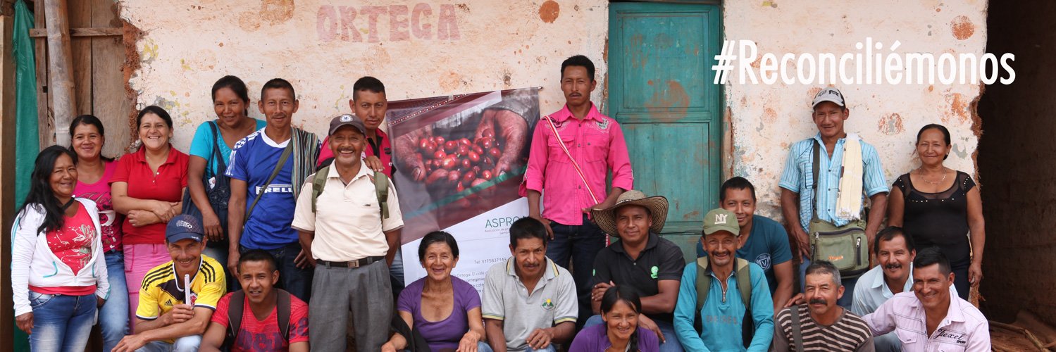 Joshua Mitrotti banner