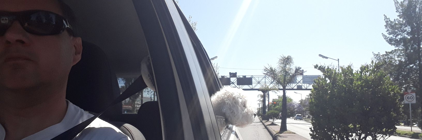 WTorchelo's profile banner image