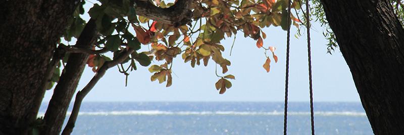 beshot's profile banner image