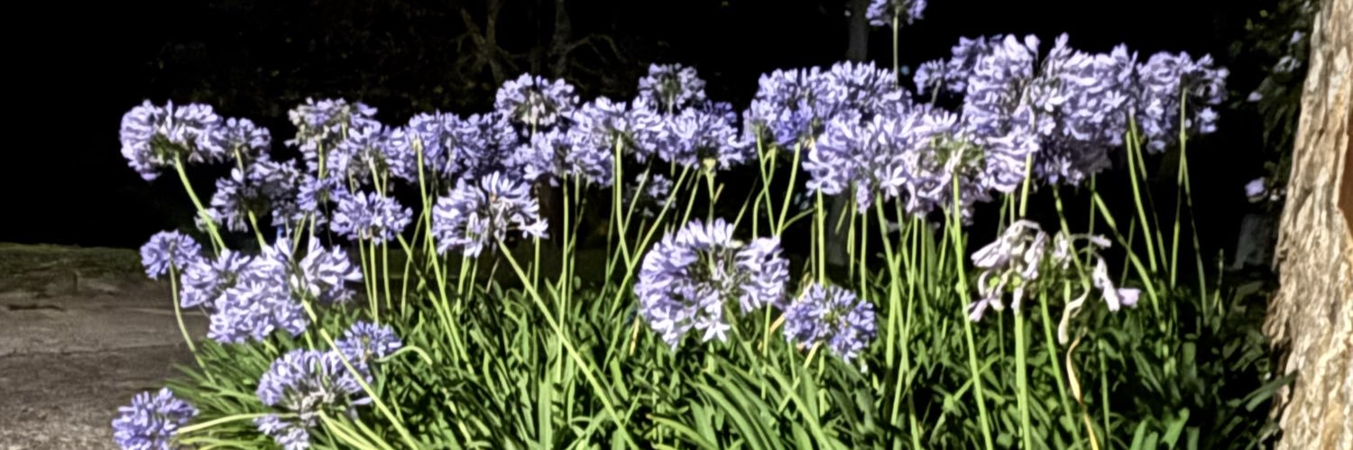 Káthia Mello banner
