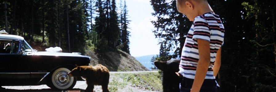 berg_mada's profile banner image