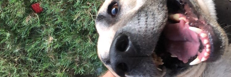 T_Scrizzle's profile banner image
