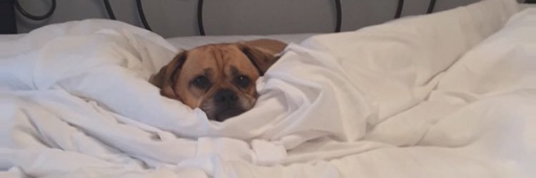 gerdzzzz's profile banner image
