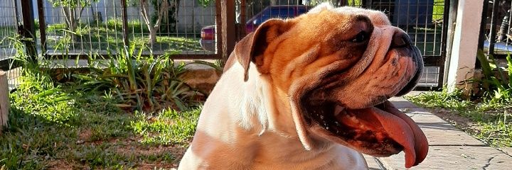 SiandraAxel's profile banner image