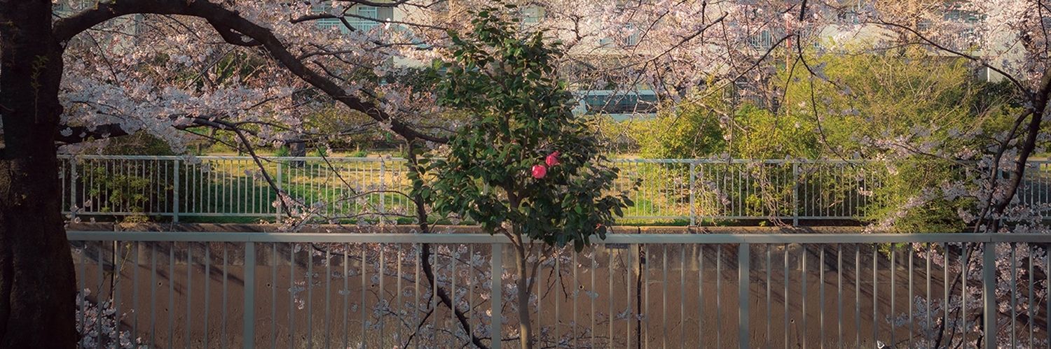 夢想家 banner