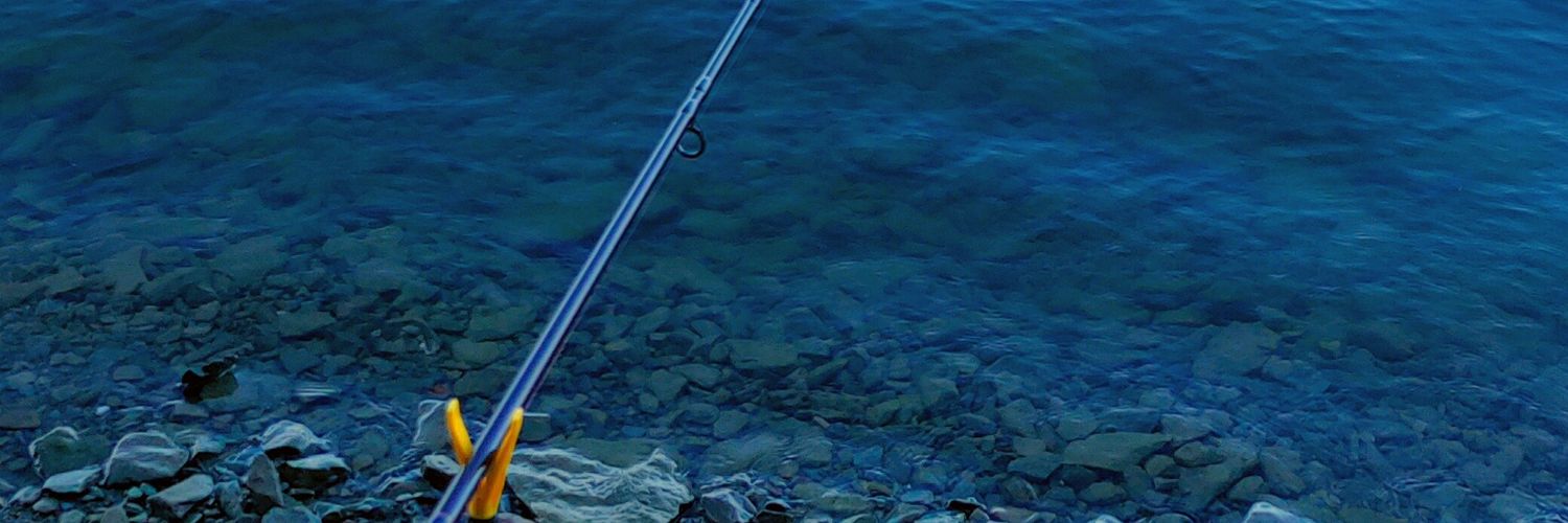 RomTweeTR's profile banner image