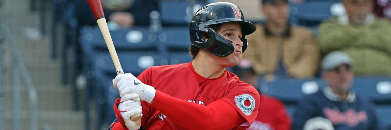 SoxProspects.com's banner